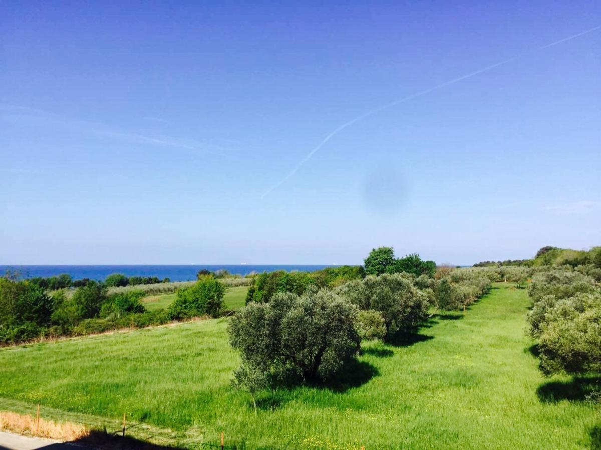 Apartment Mirella Umag Zewnętrze zdjęcie